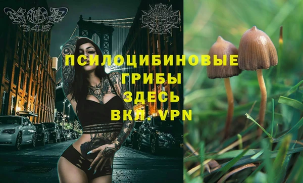 COCAINE Медвежьегорск